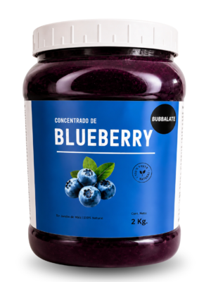 JAM CONCENTRADO BLUEBERRY 2 KG