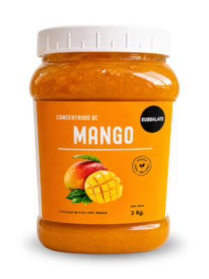 JAM CONCENTRADO MANGO 2 KG